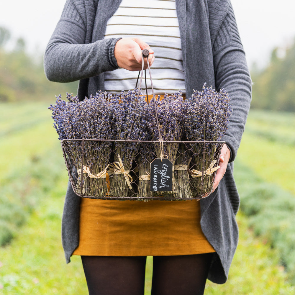 Dried Lavender Bouquet