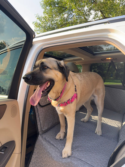 Firmpaw™ Hard Bottom Car Seat Cover
